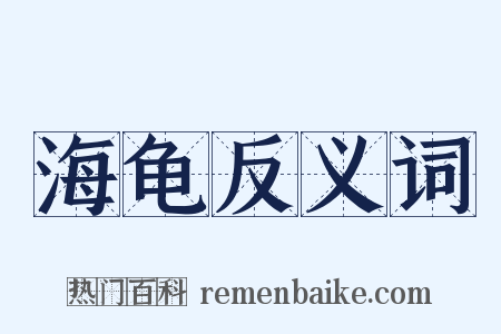 海龟反义词是什么意思的图片